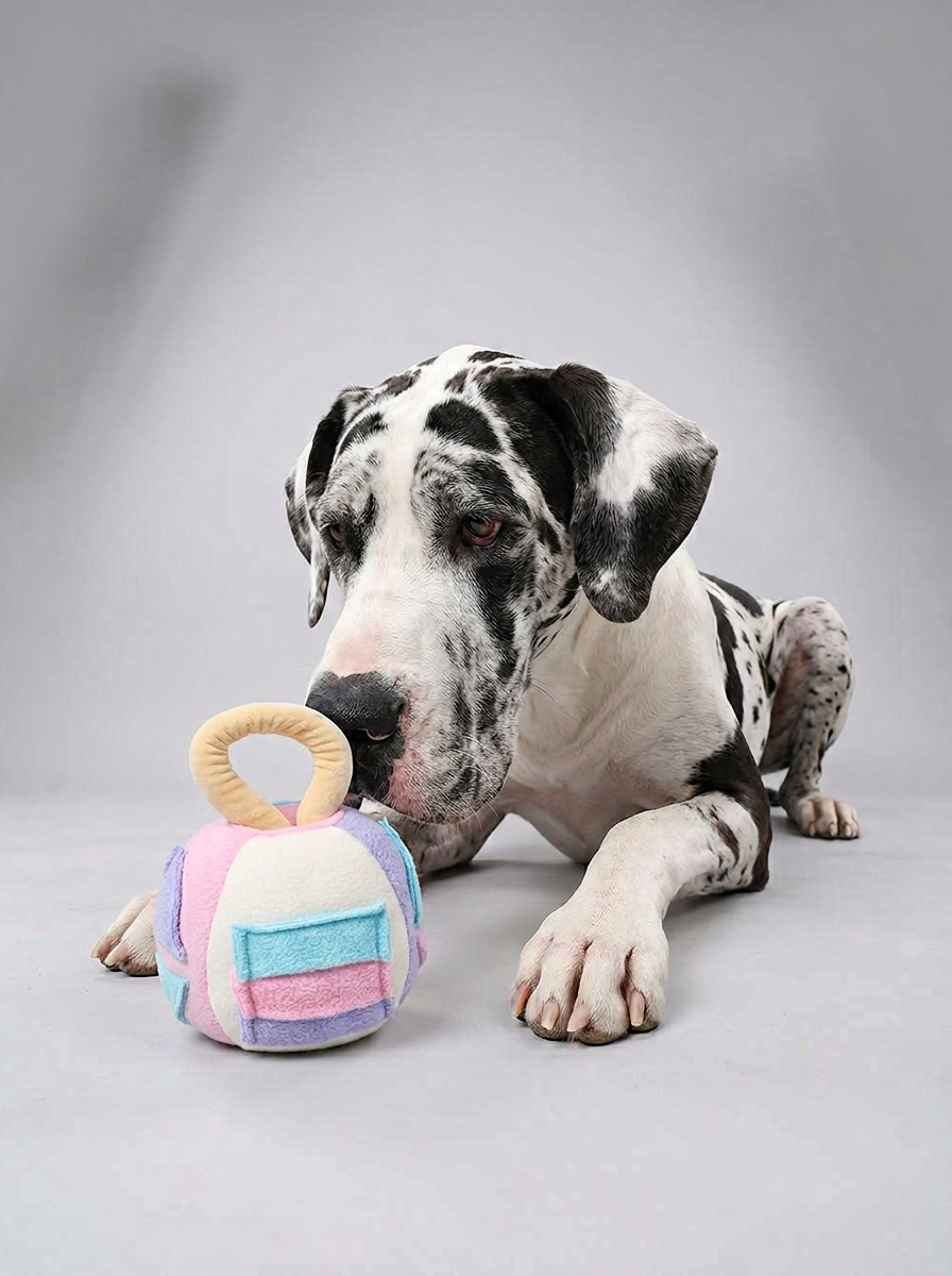 Dog Squeaky Plush Ball Toy | Chew Toy