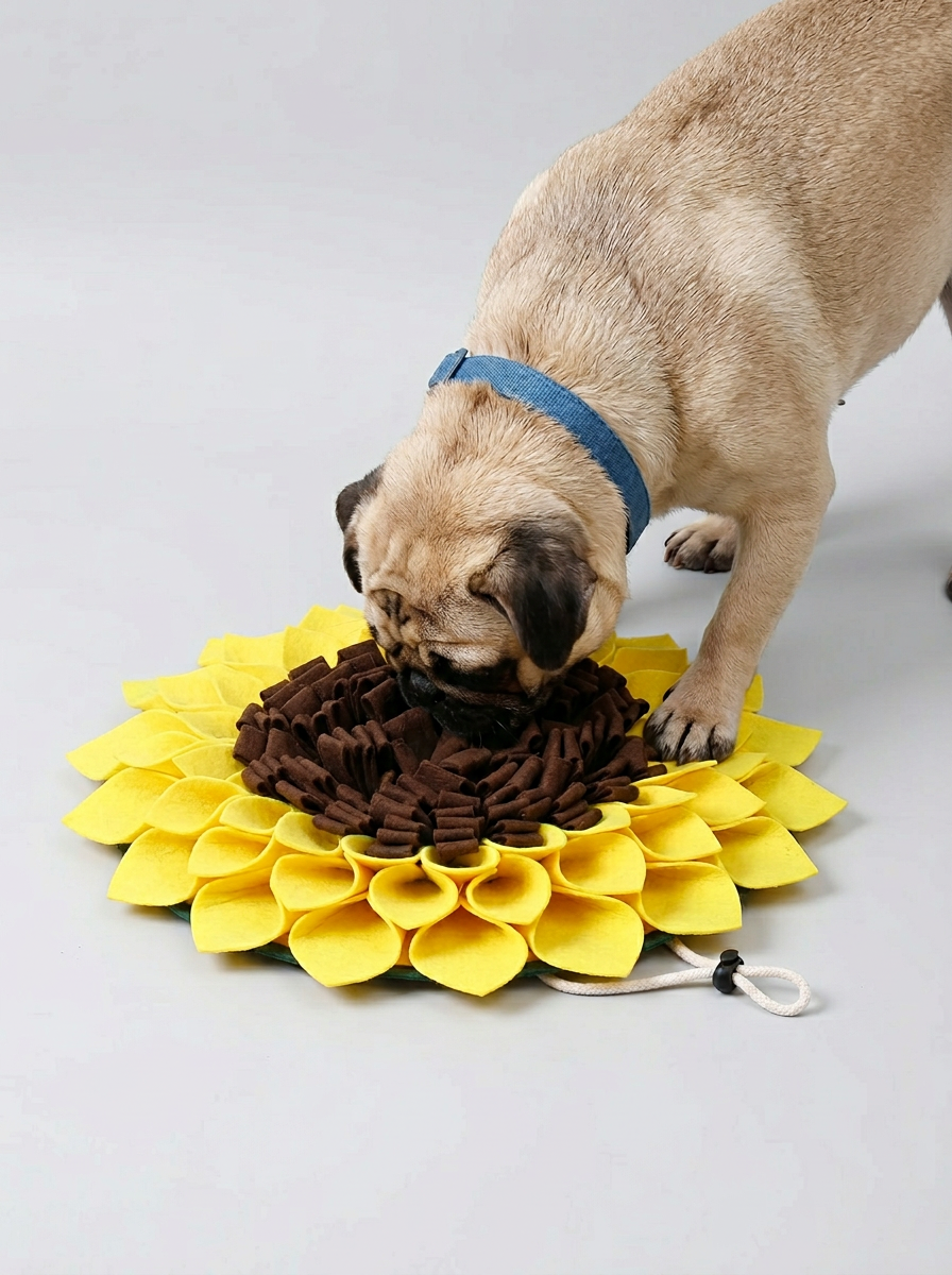 Dog Snuffle Mat Non-Slip Pet Sniffing | Feeding Mat