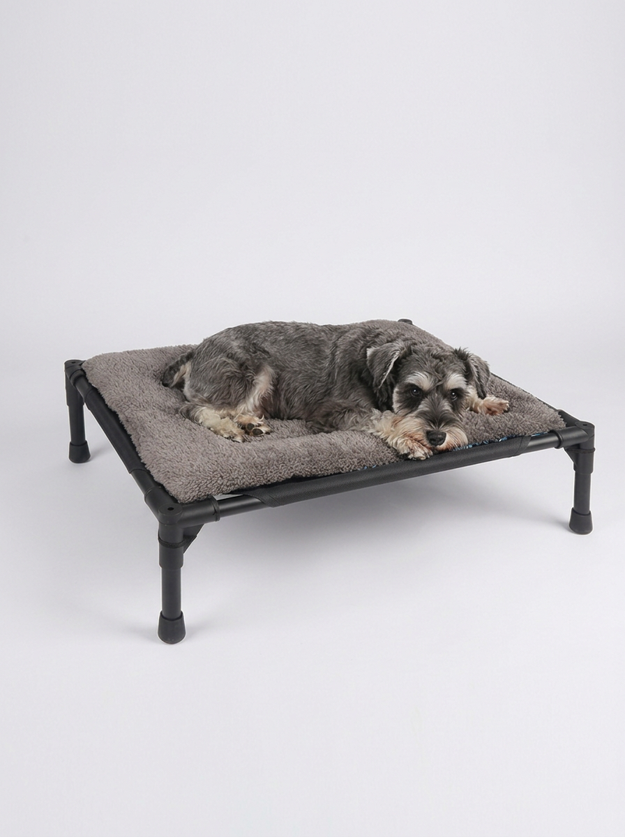 Foldable Camping Pet Bed | Elevated Bed