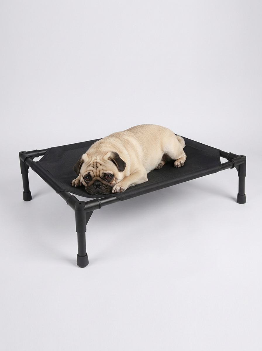 Foldable Camping Pet Bed | Elevated Bed