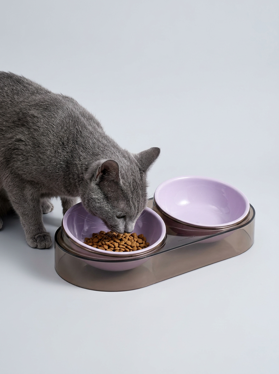 Pet Food Bowl Double Raised | Pet Feeder